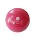 Balle lestée 500 g