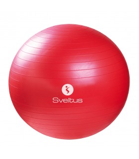Gymball rot Ø65 cm lose