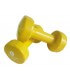 Haltère époxy 4 kg x2