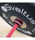 Cérakote Olympic bar 15kg - pink