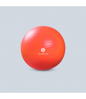 Gymball arancione Ø55 cm sfuso