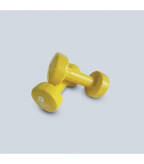 Epoxy dumbbell x2