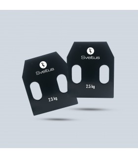 Piastra in acciaio con maniglie 2,5 kg x2