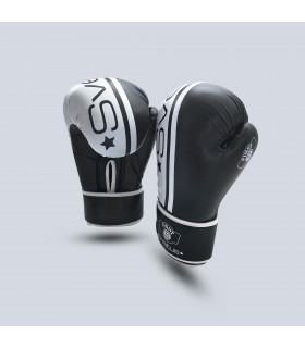 Boxhandschuh Challenger x2