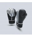 Challenger boxing glove x2